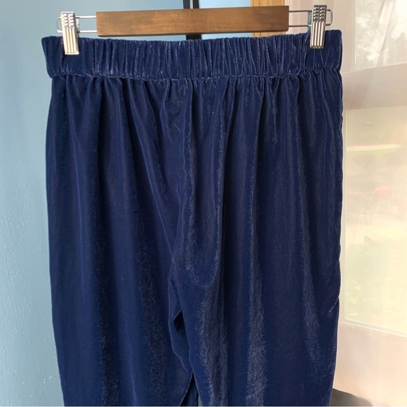 J. Crew Navy Velvet Pull On Pants - Picture 6 of 6